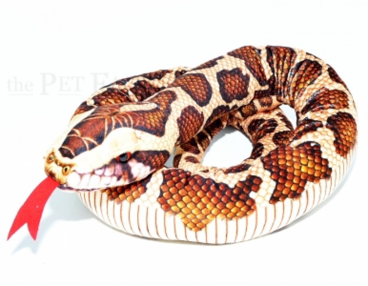 Kuschel Tigerpython